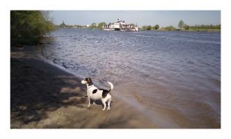 Betty im Juni 2016